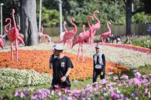 BIB: 
                            <button type="button" onclick="openModal(27793609)" class="btn btn-primary btn-sm float-right btn-popup" data-toggle="modal" data-target=".modal-high-quality">
                        <i class="fas fa-shopping-cart"></i> Add to Cart
                    </button>
                                            <button type="button" onclick="isThisMe(27793609, true)" class="btn btn-success btn-sm float-right btn-popup btn-isme hidden" data-toggle="tooltip" data-placement="bottom" title="นี่คือรูปของคุณใช่ไหม คลิกที่นี่เพื่อเอาเข้าอัลบั้ม">
                        <i class="fas fa-plus"></i> Add to album
                    </button>
                    <button type="button" onclick="isThisMe(27793609, false)" class="btn btn-warning btn-sm float-right btn-popup btn-isnotme hidden">
                        <i class="fas fa-ban"></i> Remove from album
                    </button>